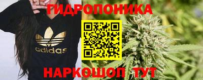 соль ск Ливны