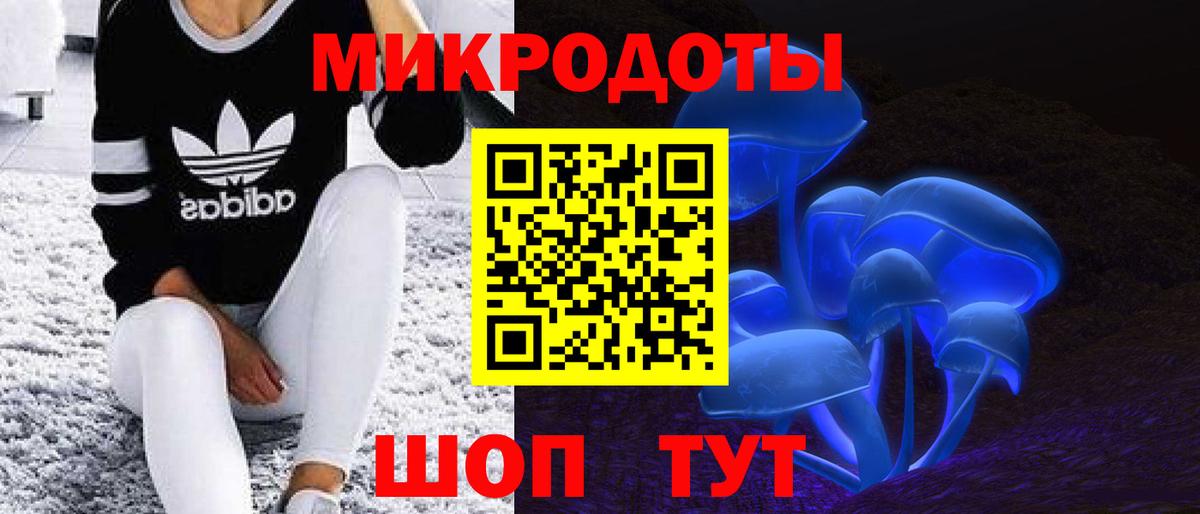 Галлюциногенные грибы Psilocybe Каменск-Уральский
